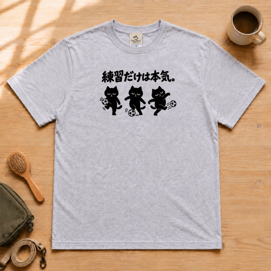 05-tshirt-gray.jpg