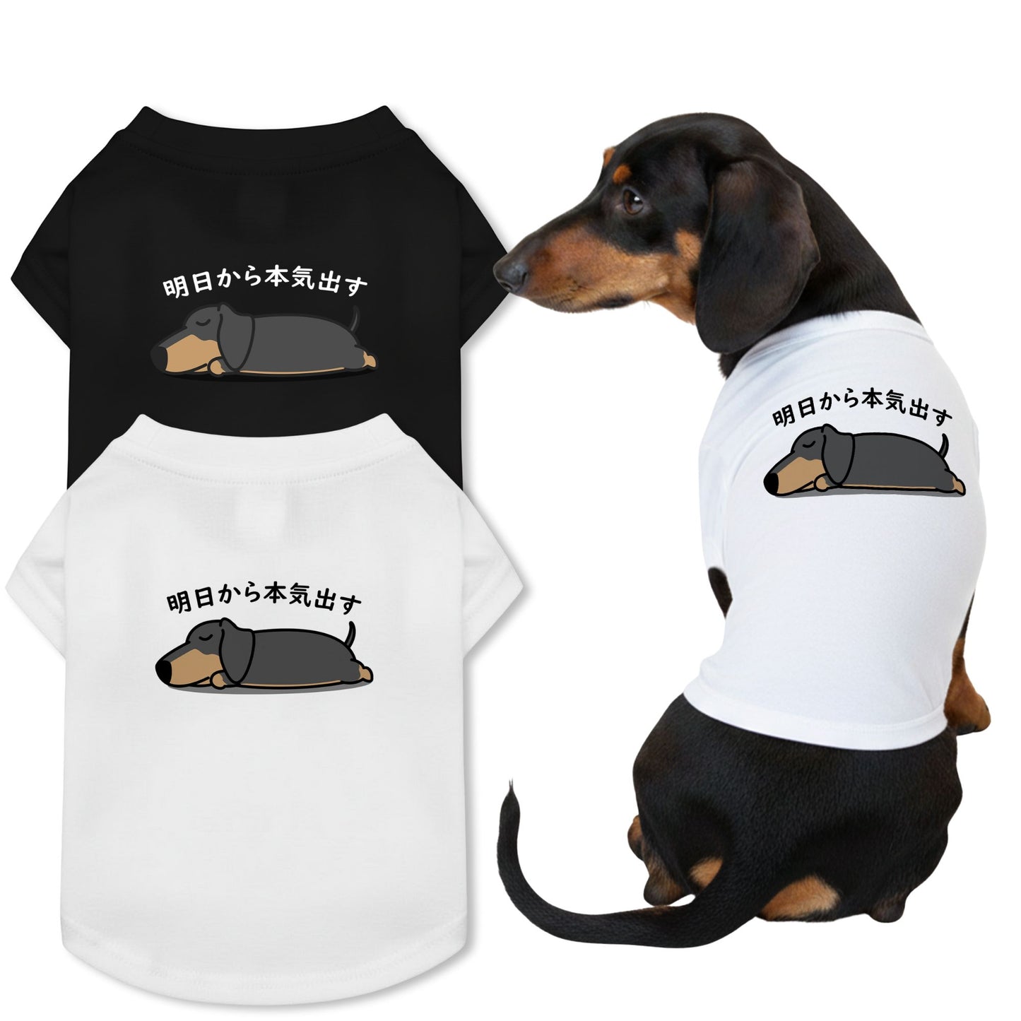 【猫/犬種選べる・名入れ可能】明日から本気だす 猫用Tシャツ 犬用Tシャツ 猫服 犬服|綿100%・小型~中型犬