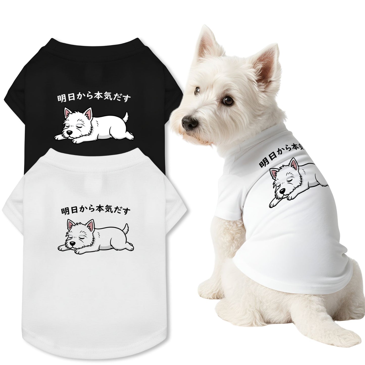 【猫/犬種選べる・名入れ可能】明日から本気だす 猫用Tシャツ 犬用Tシャツ 猫服 犬服|綿100%・小型~中型犬