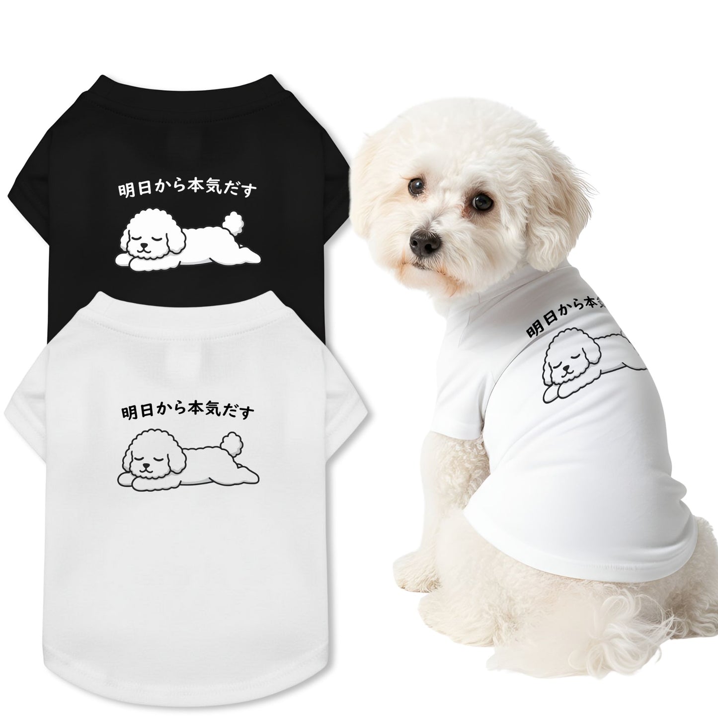 【猫/犬種選べる・名入れ可能】明日から本気だす 猫用Tシャツ 犬用Tシャツ 猫服 犬服|綿100%・小型~中型犬