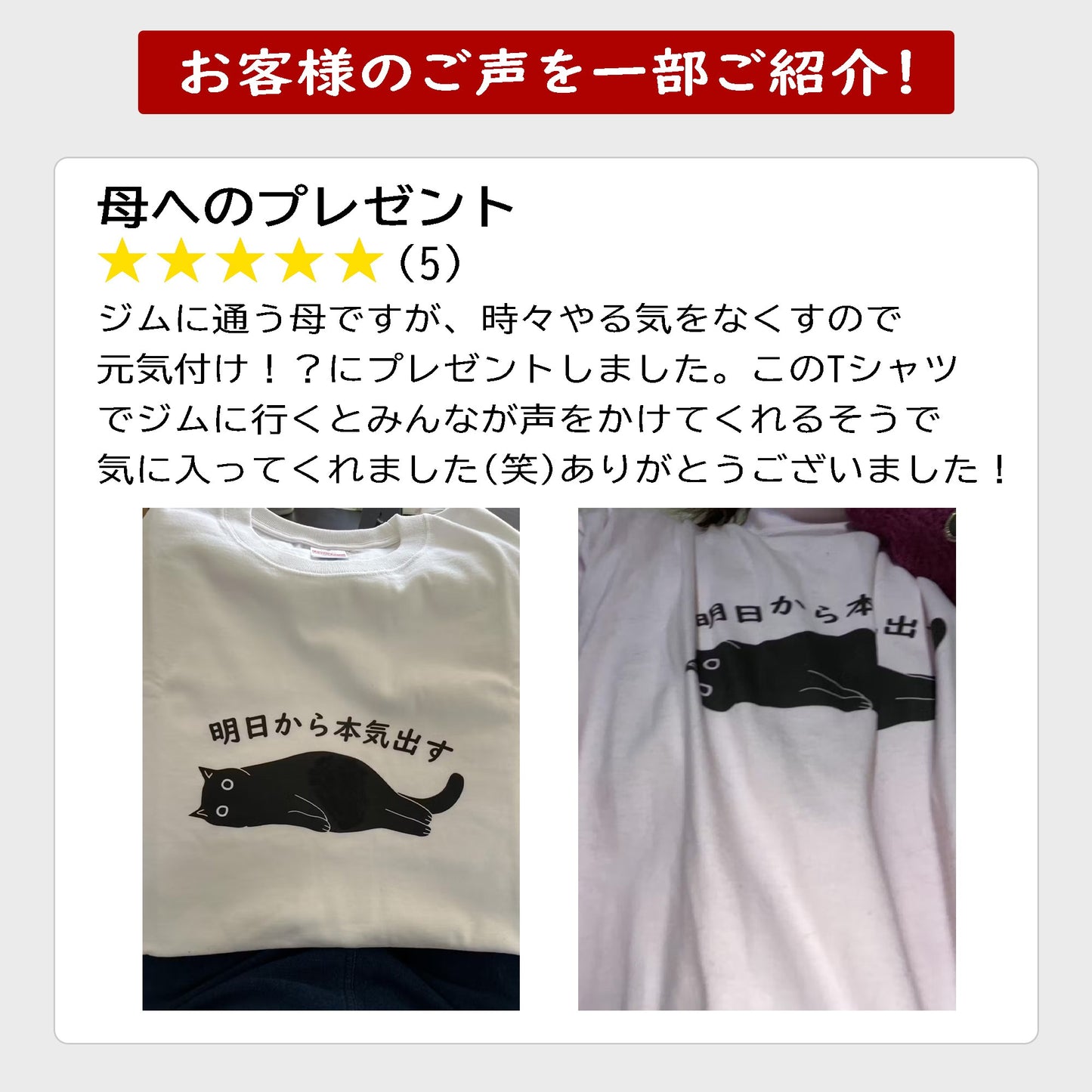 猫tシャツ ねこ 猫イラスト おもしろ tシャツ かわいい やる気スイッチは故障中|アダルト&キッズサイズ.