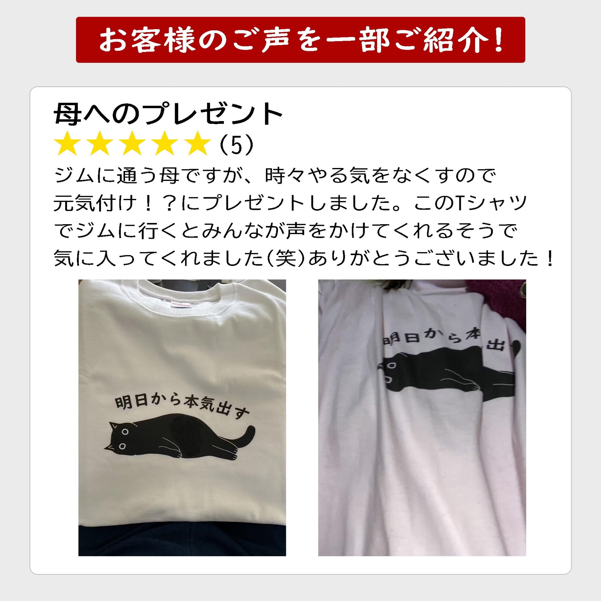 猫tシャツ ねこ 猫イラスト おもしろ tシャツ かわいい やる気スイッチは故障中|アダルト&キッズサイズ.