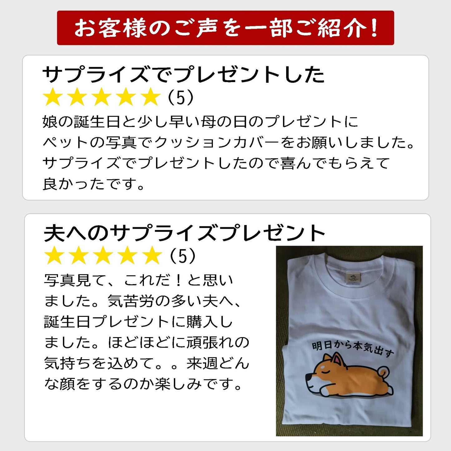 【毎月・猫の日限定】ニャーニャーニャー・Tシャツ 《3枚セット》.