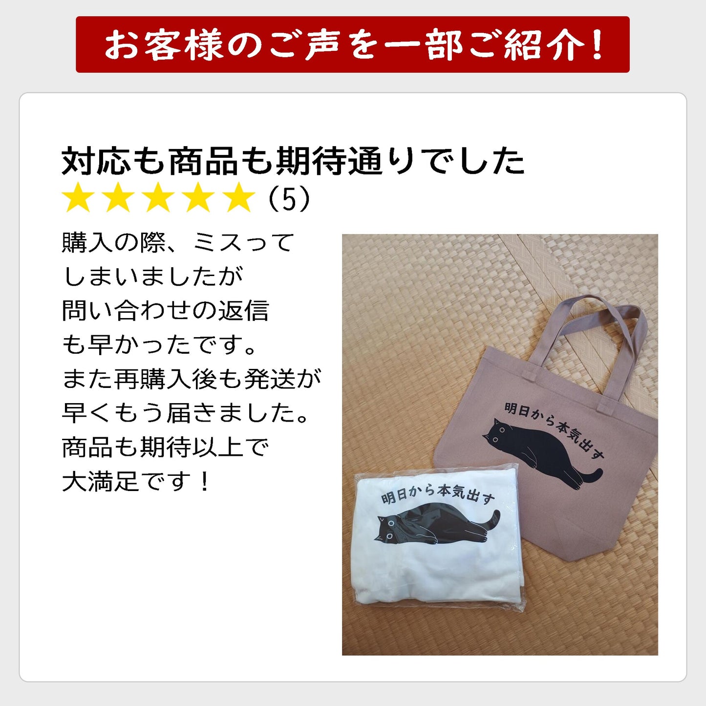 猫 パーカー ねこ かわいい 猫イラスト Don't disturb 邪魔しにゃいで