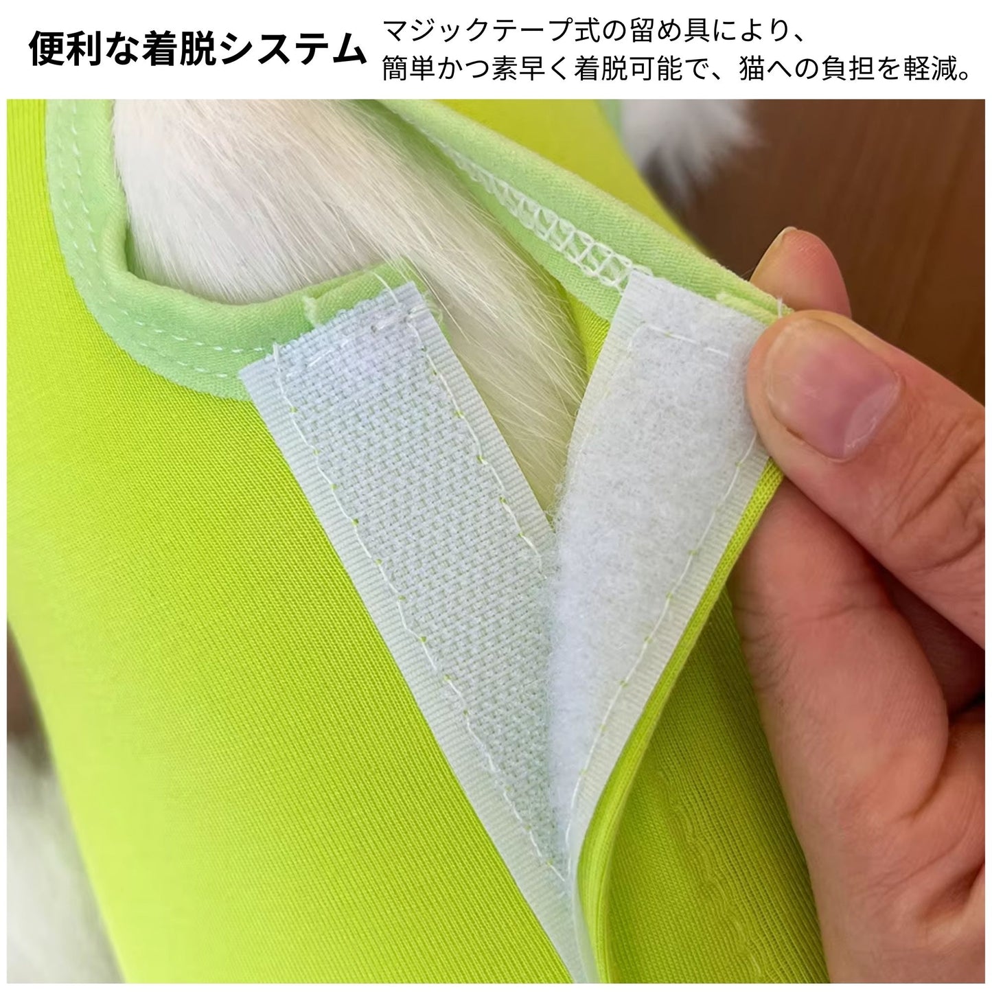 猫服 猫専用術後服  (割引クーポン対象外).