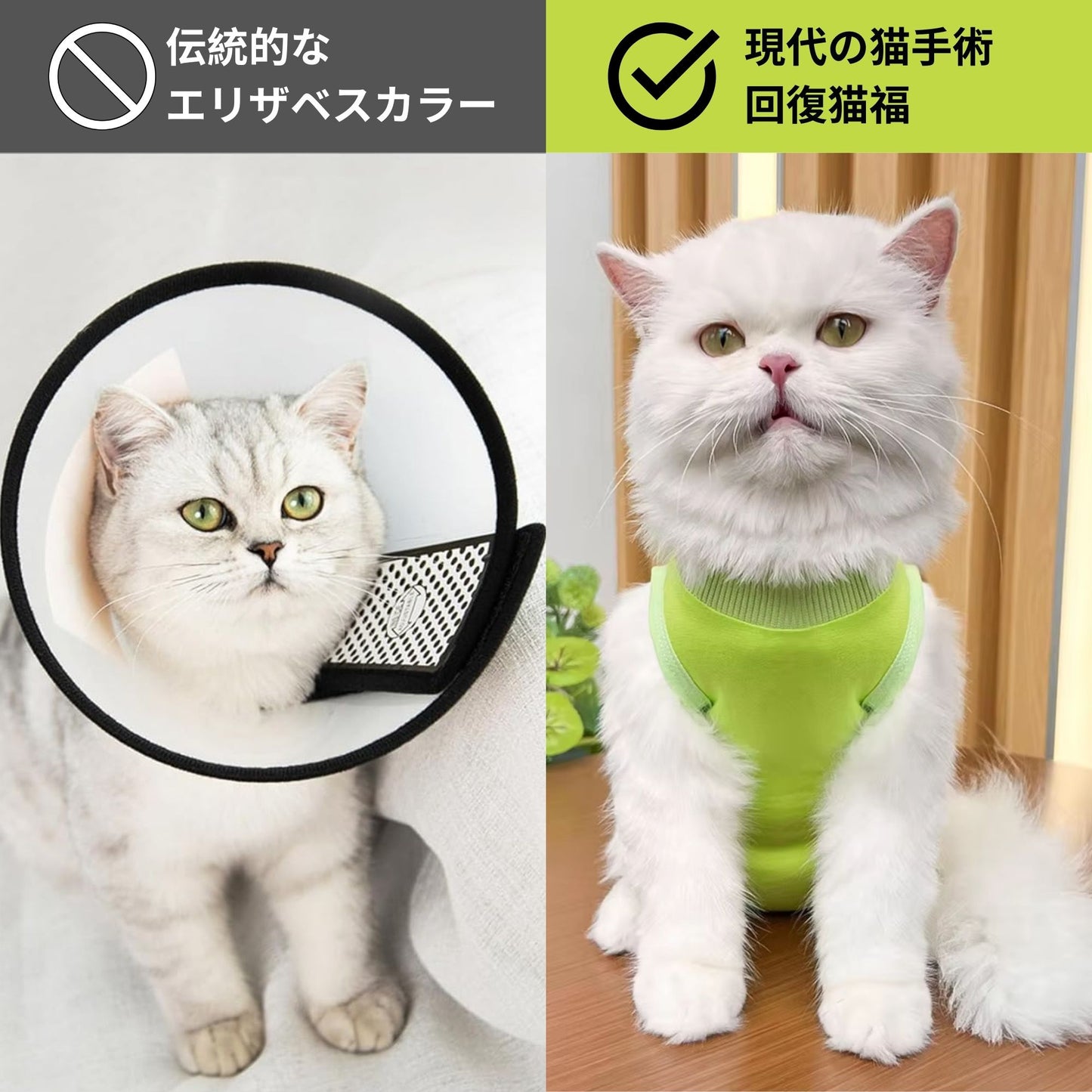 猫服 猫専用術後服  (割引クーポン対象外).