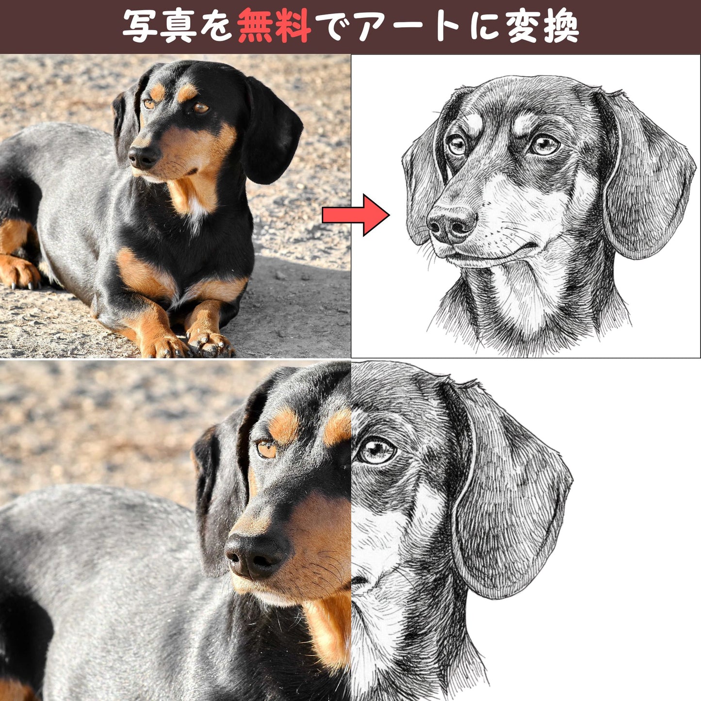 名入れ・写真アート変換|うちの子マグカップ/Takashirt