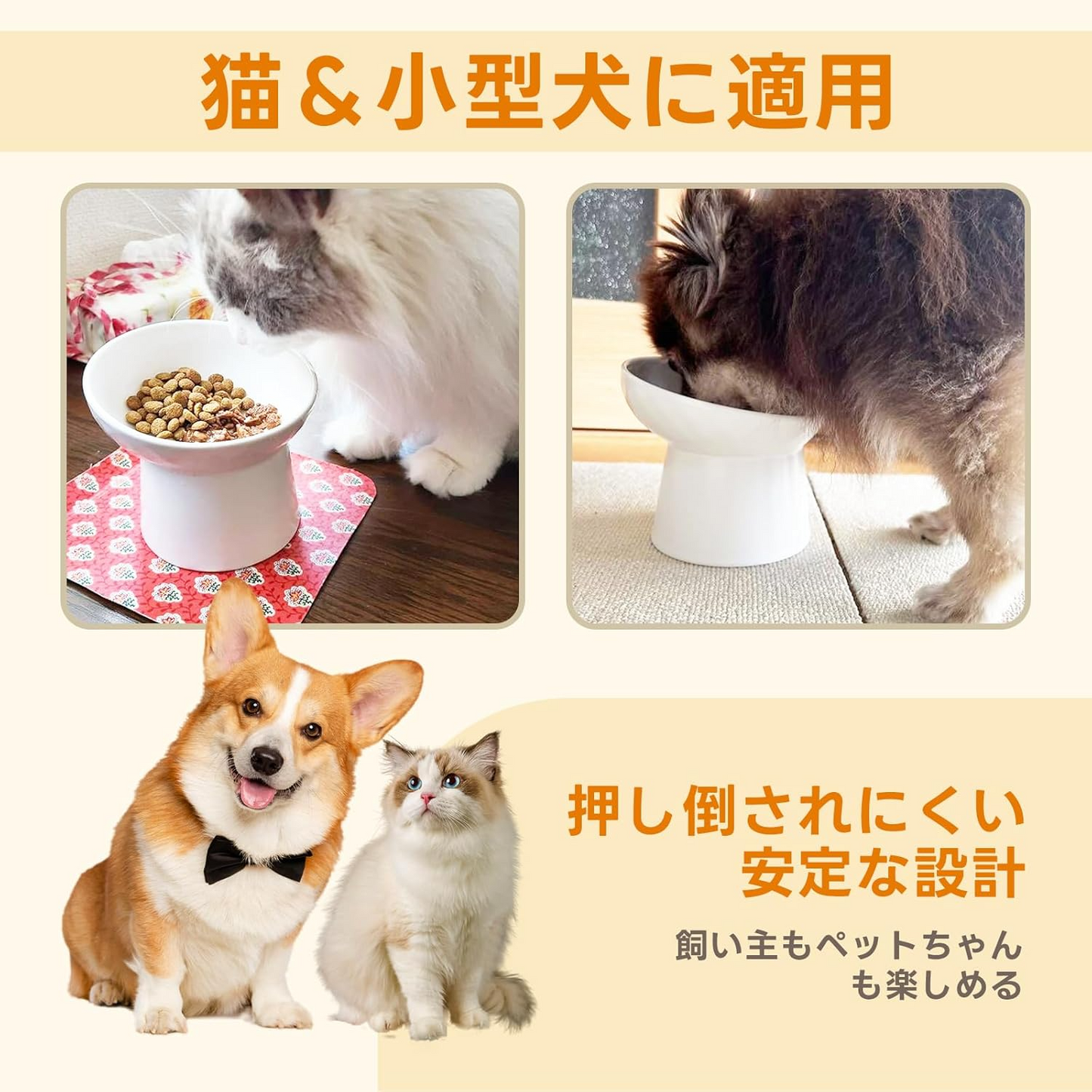 食器 フードボウル 吐き戻し防止 犬 ペットボウル ペット食器 餌皿 エサ皿 水飲み 傾斜 斜め 負担軽減 食べやすい 水分補給 陶器 セラミック ペット用 猫用 犬用 ボウル【ギフトラッピング対象外】 (割引クーポン対象外).