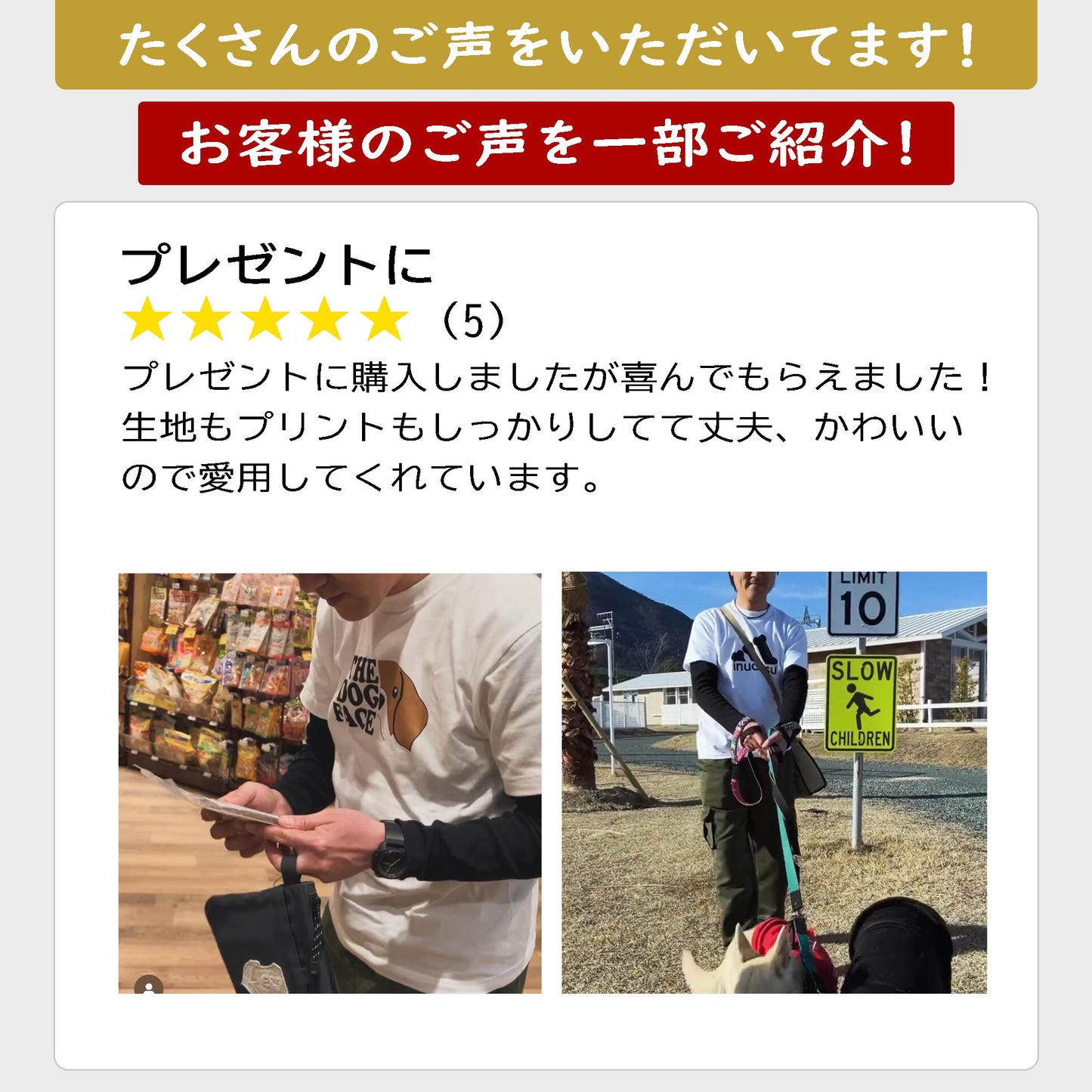 犬 tシャツ 犬イラスト 柴犬 明日から本気出す |アダルト&キッズサイズ.