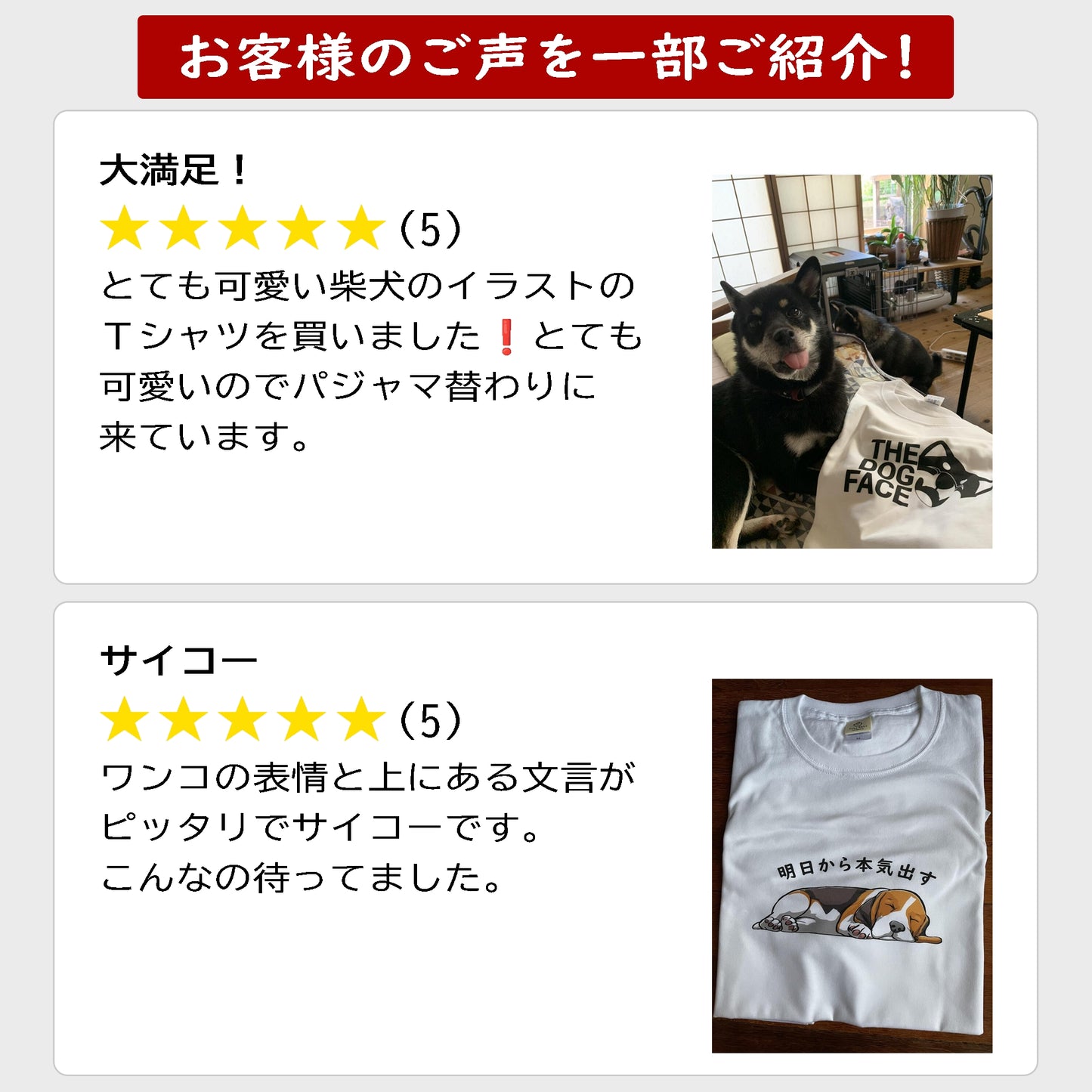 犬 tシャツ 犬イラスト 柴犬 明日から本気出す |アダルト&キッズサイズ.