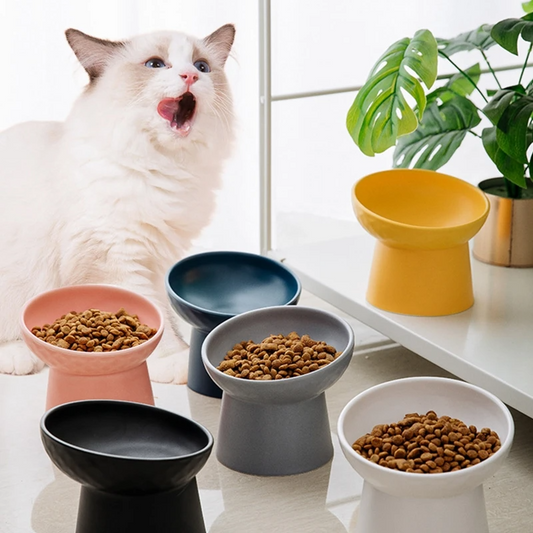 食器 フードボウル 吐き戻し防止 犬 ペットボウル ペット食器 餌皿 エサ皿 水飲み 傾斜 斜め 負担軽減 食べやすい 水分補給 陶器 セラミック ペット用 猫用 犬用 ボウル【ギフトラッピング対象外】 (割引クーポン対象外).