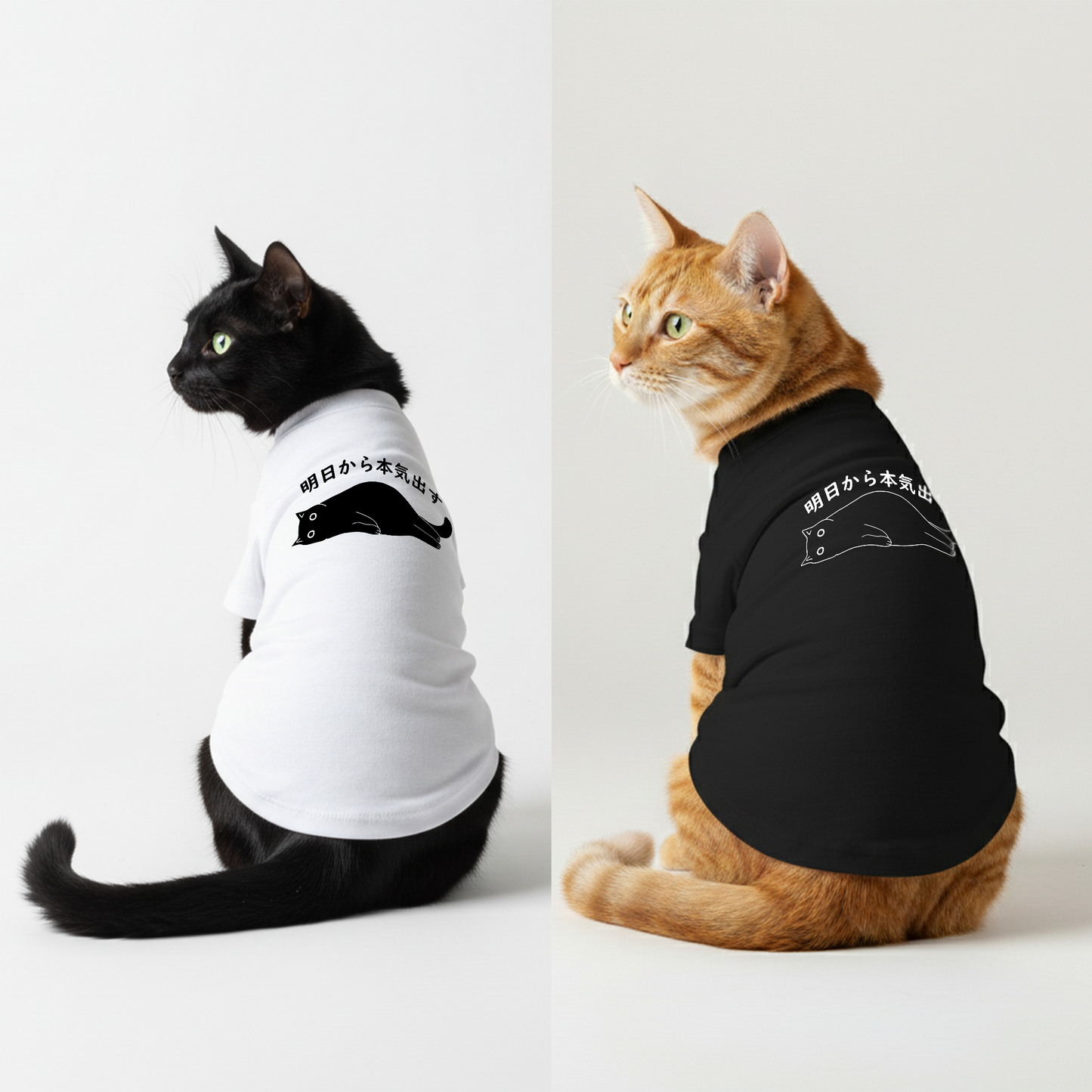 【猫/犬種選べる・名入れ可能】明日から本気だす 猫用Tシャツ 犬用Tシャツ 猫服 犬服|綿100%・小型~中型犬