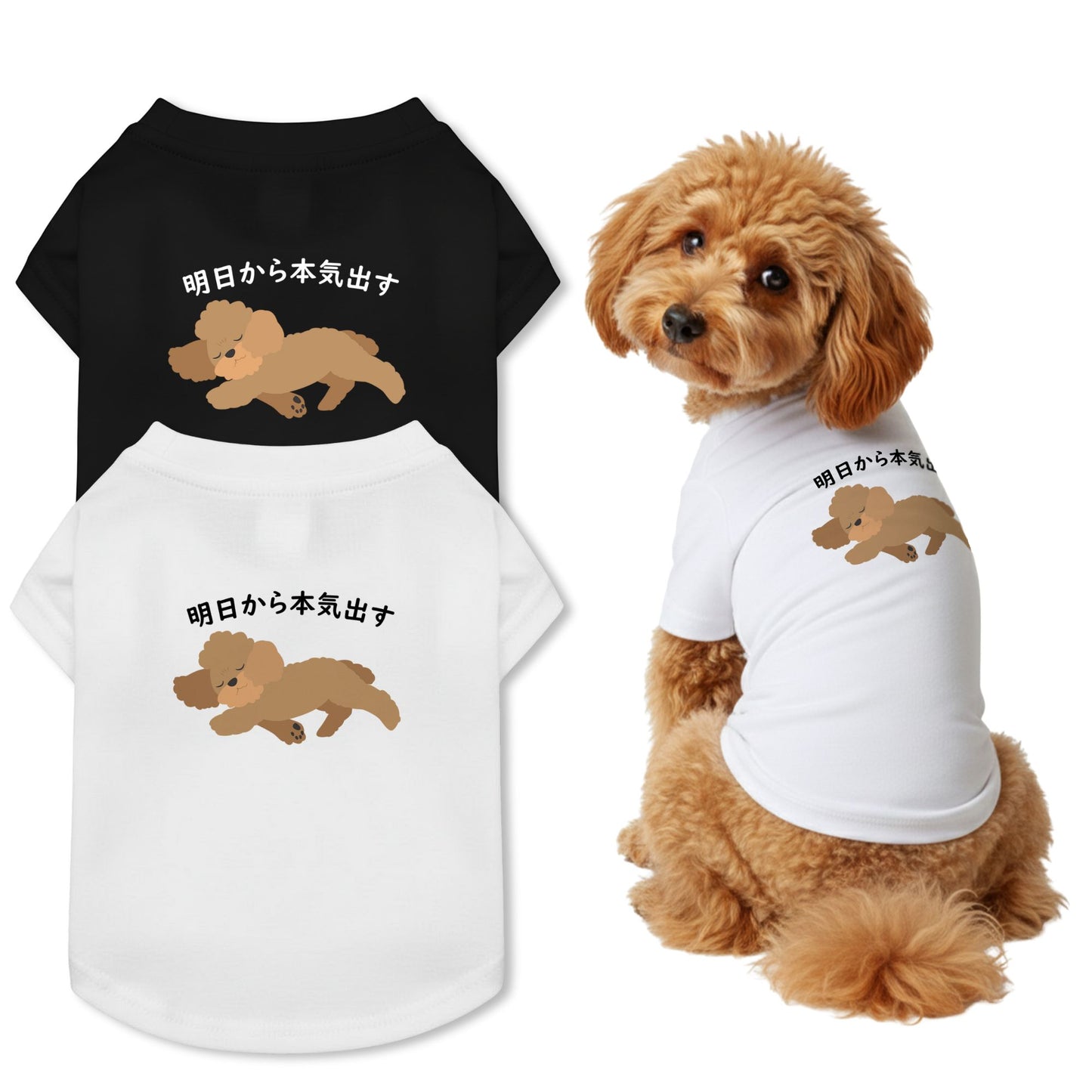 【猫/犬種選べる・名入れ可能】明日から本気だす 猫用Tシャツ 犬用Tシャツ 猫服 犬服|綿100%・小型~中型犬