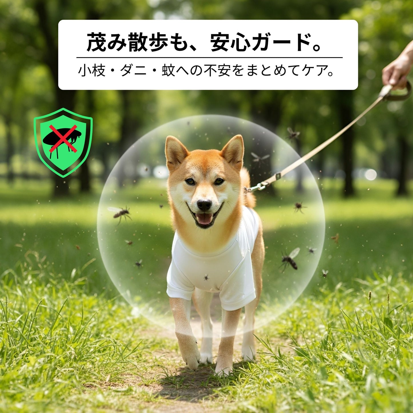 【猫/犬種選べる・名入れ可能】明日から本気だす 猫用Tシャツ 犬用Tシャツ 猫服 犬服|綿100%・小型~中型犬
