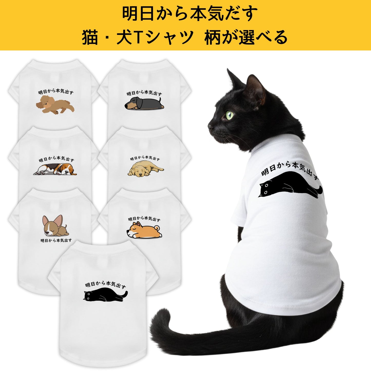 【猫/犬種選べる・名入れ可能】明日から本気だす 猫用Tシャツ 犬用Tシャツ 猫服 犬服|綿100%・小型~中型犬