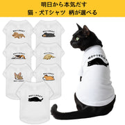 【猫/犬種選べる・名前入れ可能】明日から本気だす 猫用Tシャツ 犬用Tシャツ 猫服 犬服 猫tシャツ|綿100%・小型~中型犬
