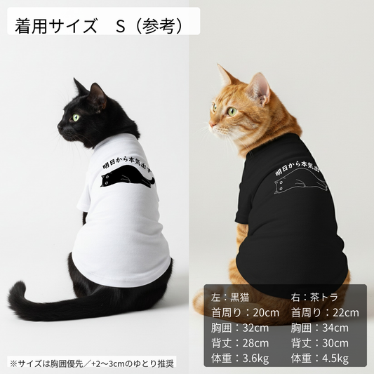 【猫/犬種選べる・名前入れ可能】明日から本気だす 猫用Tシャツ 犬用Tシャツ 猫服 犬服 猫tシャツ|綿100%・小型~中型犬
