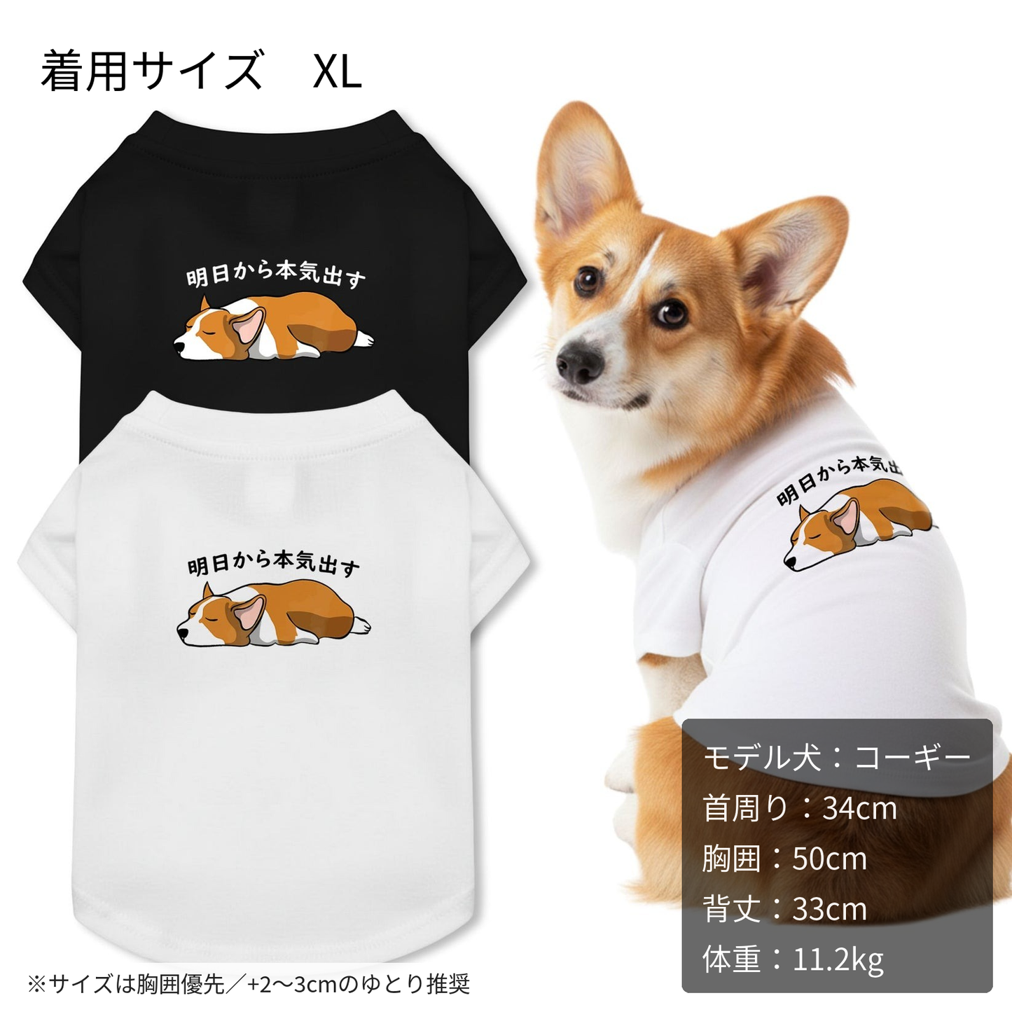【猫/犬種選べる・名入れ可能】明日から本気だす 猫用Tシャツ 犬用Tシャツ 猫服 犬服|綿100%・小型~中型犬