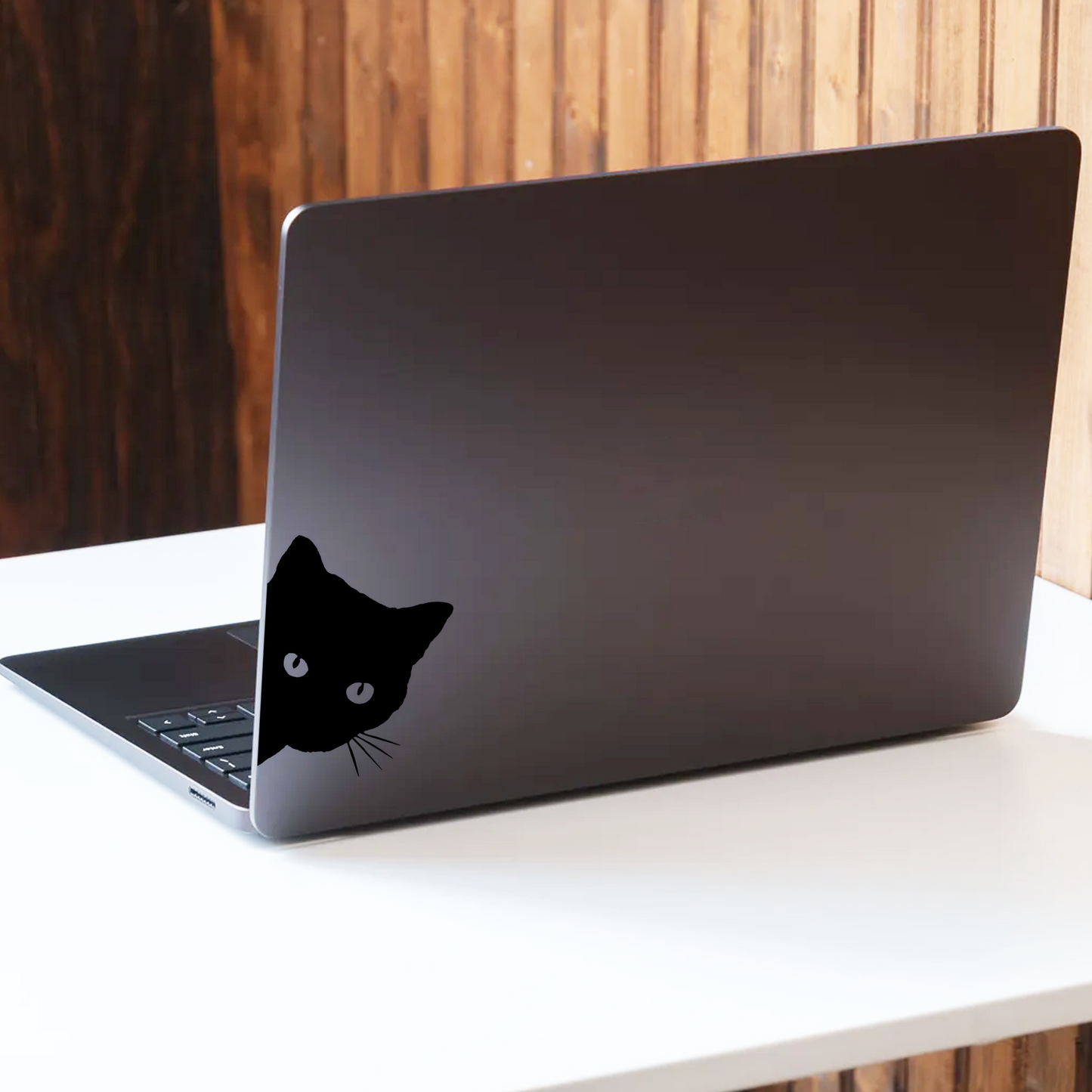 猫 ステッカー 覗き見する猫 (2点セット)(割引クーポン対象外)