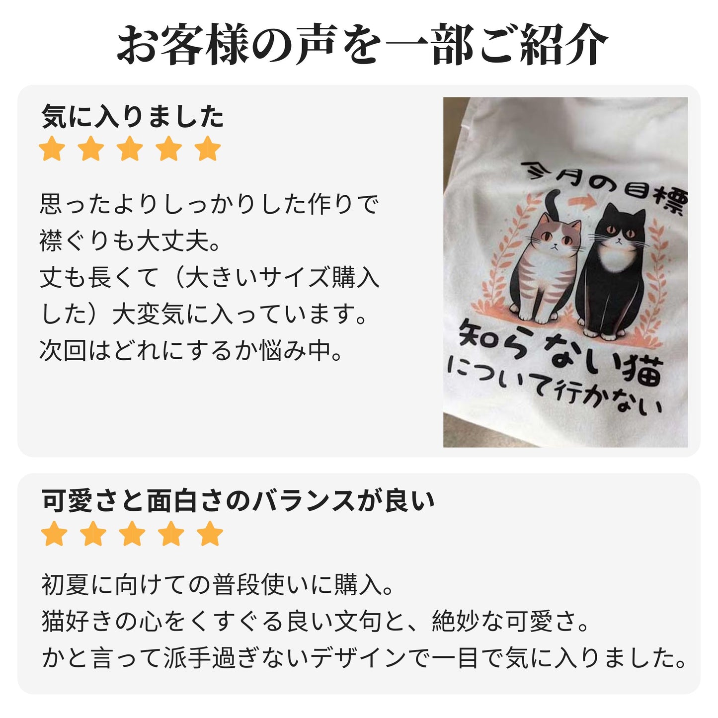 猫tシャツ ねこ 猫イラスト 今月の目標、知らない猫について行かない|アダルト&キッズサイズ