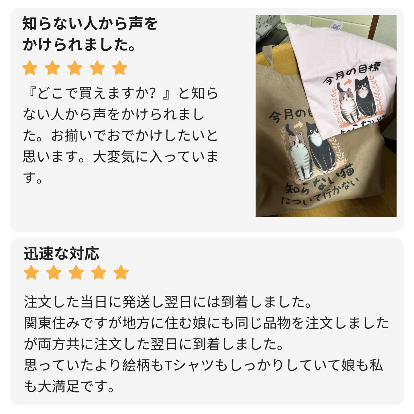 猫tシャツ ねこ 猫イラスト 今月の目標、知らない猫について行かない|アダルト&キッズサイズ