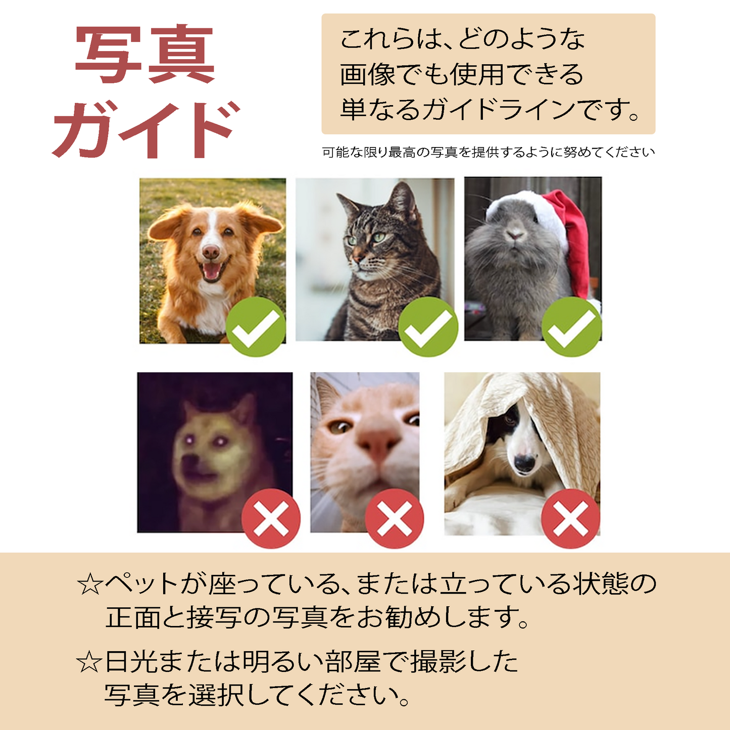 【クリスマス限定商品】【写真入れ】うちの子 オリジナル クリスマス プレゼント ペット猫 犬 写真カスタマイズ.