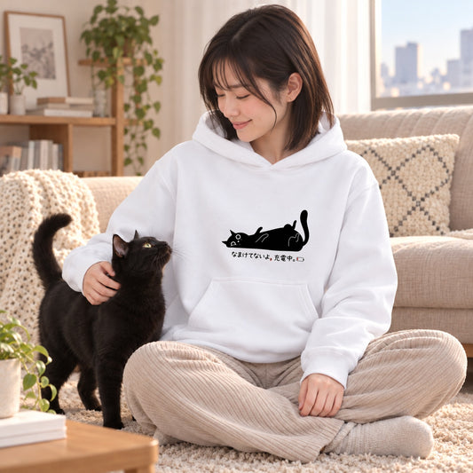02-hoodie-other-color-2.jpg