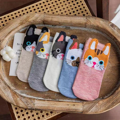 猫靴下 5足組 5種カラーセット  猫顔ソックス 可愛いにゃんこソック 22～25ｃｍ (割引クーポン対象外)