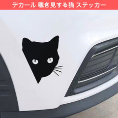 猫 ステッカー 覗き見する猫 （2点セット）(割引クーポン対象外)