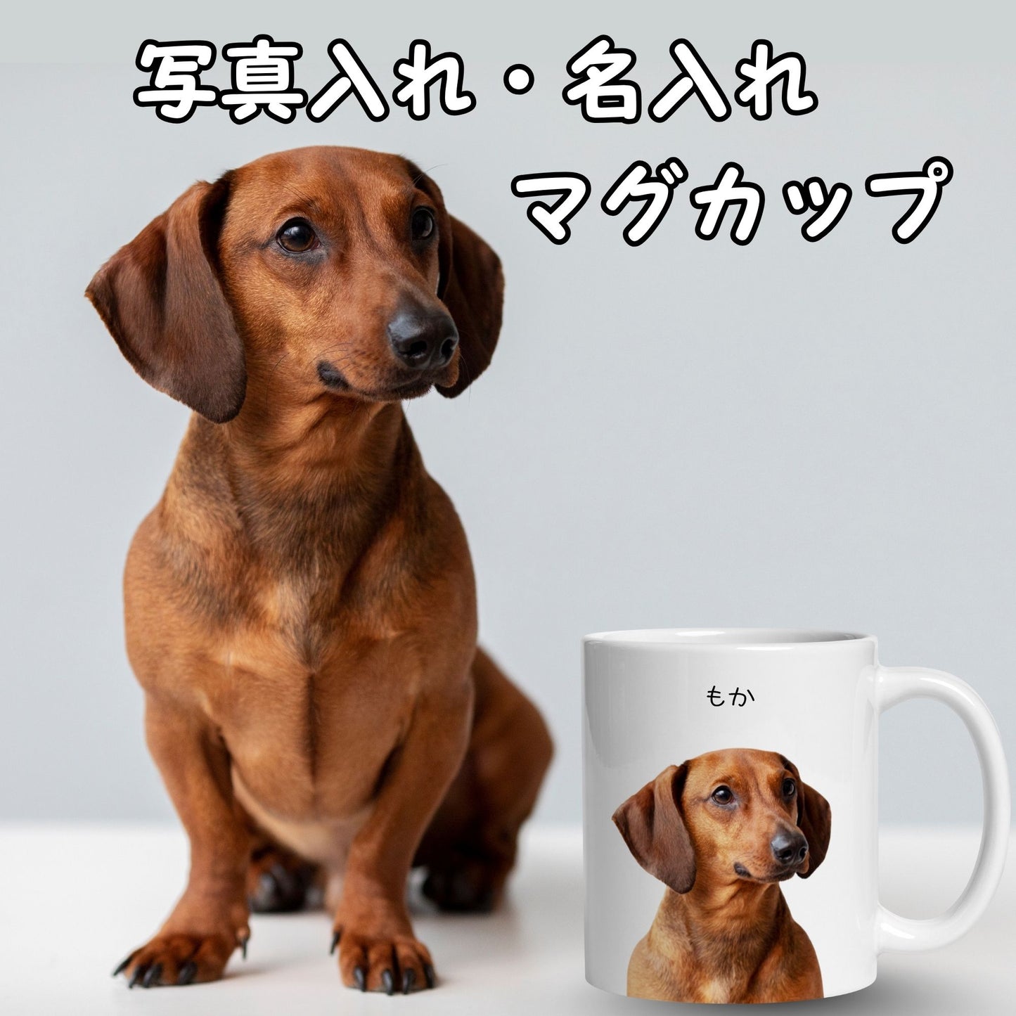 名入れマグカップ ペット写真 | 犬猫写真入れ オリジナルギフト | Takashirt