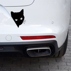猫 ステッカー 覗き見する猫 （2点セット）(割引クーポン対象外)