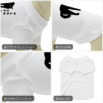 やんのかステップ 猫用Tシャツ 猫服  にゃんちゃんtシャツ｜綿100%・小型～中型犬