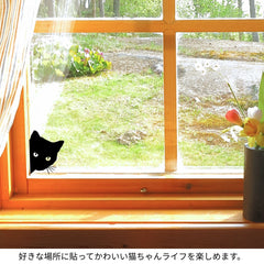 猫 ステッカー 覗き見する猫 （2点セット）(割引クーポン対象外)