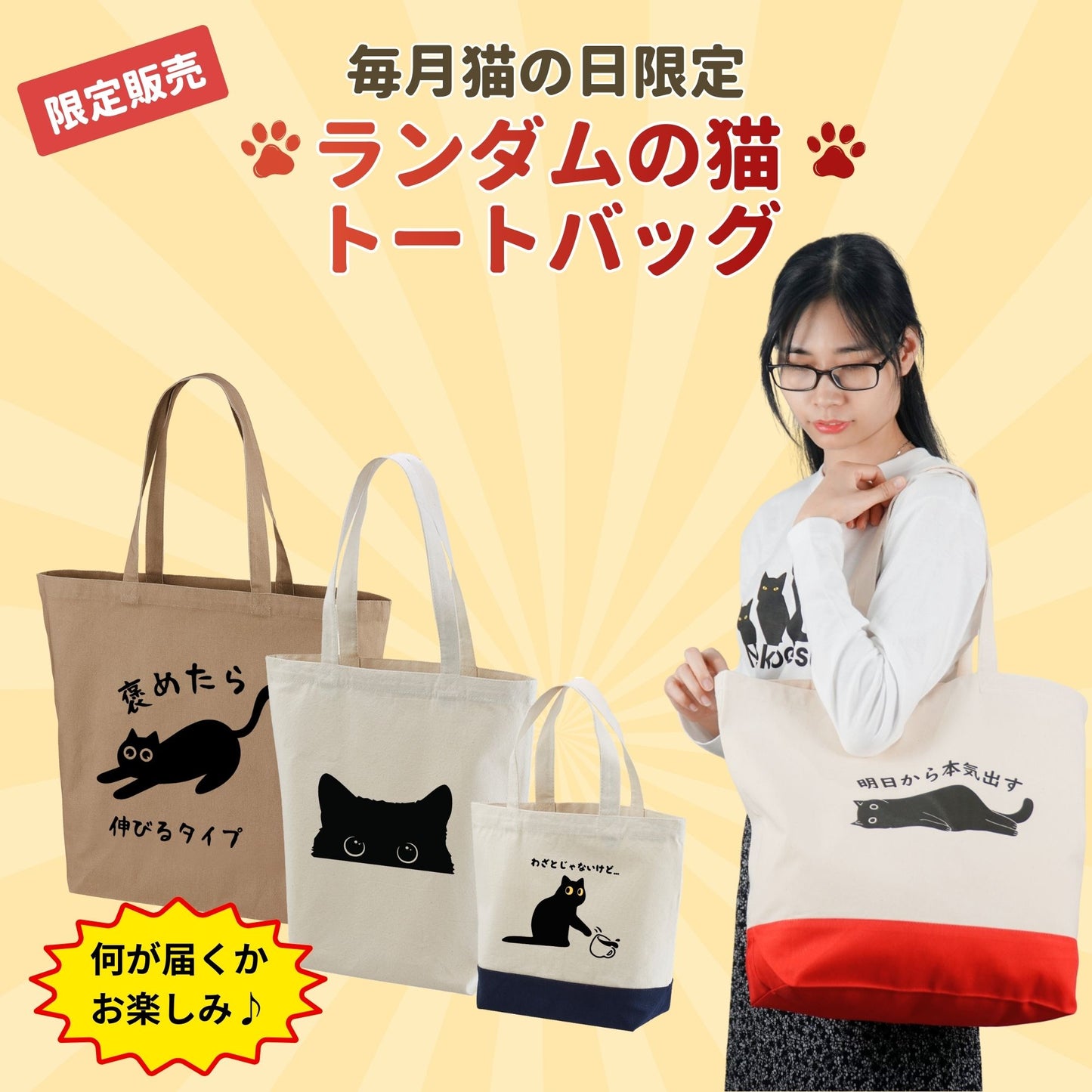 【毎月・猫の日限定】ニャーニャーニャー・４点セット