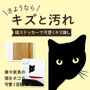 猫 ステッカー 覗き見する猫 （2点セット）(割引クーポン対象外)