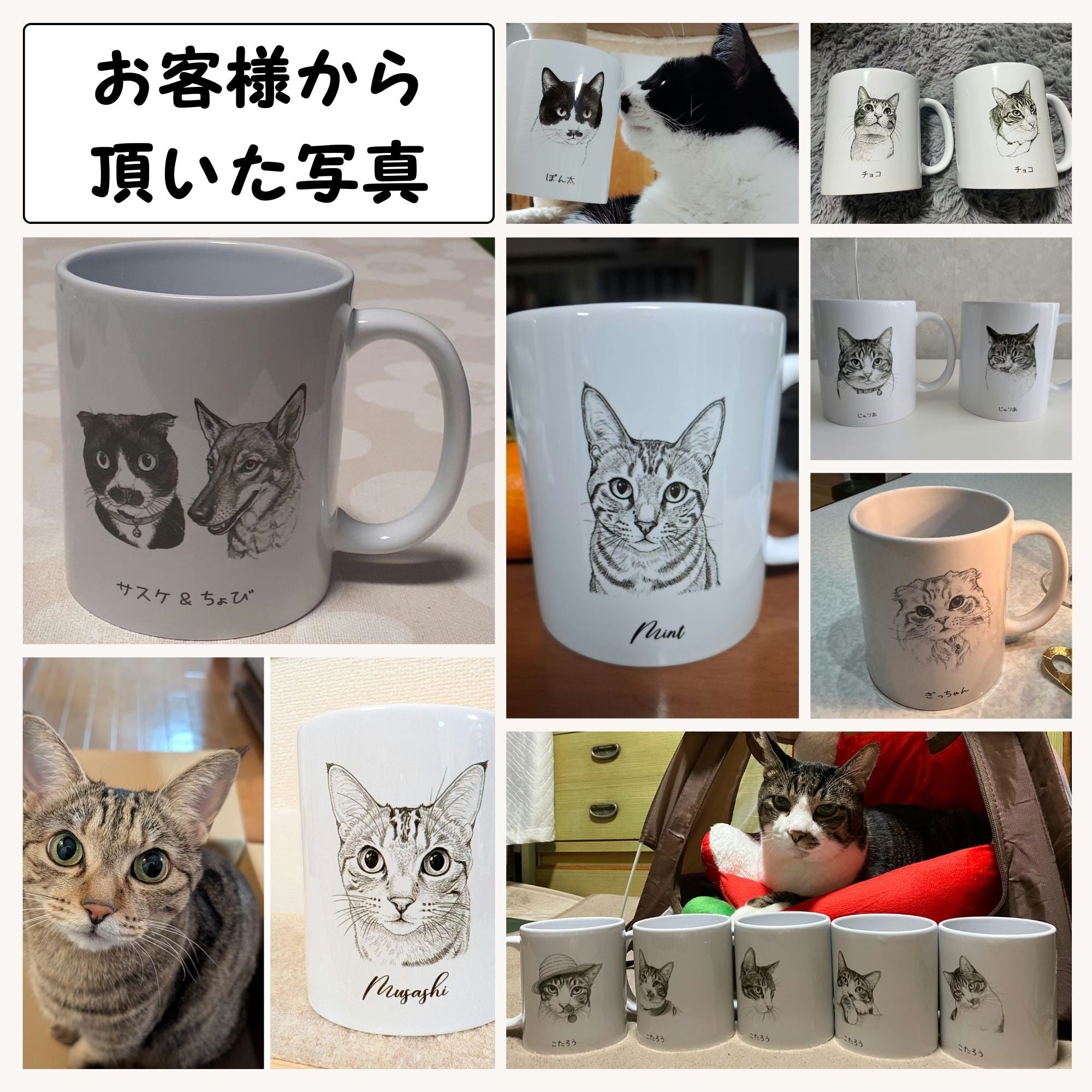 NewBanner11_3.jpg?v=1770703326