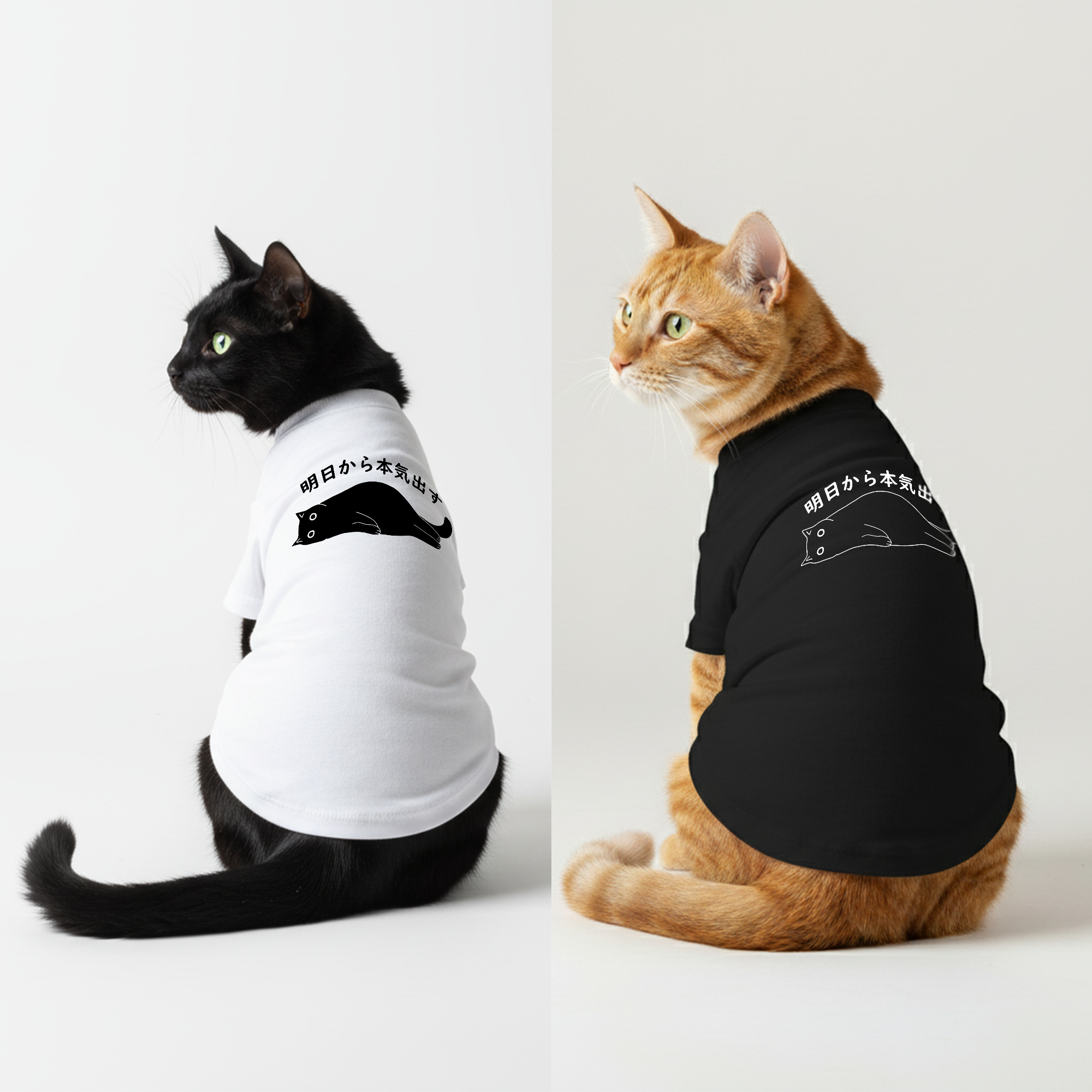 cat-tshirt_7e4445a7-3813-4cb1-