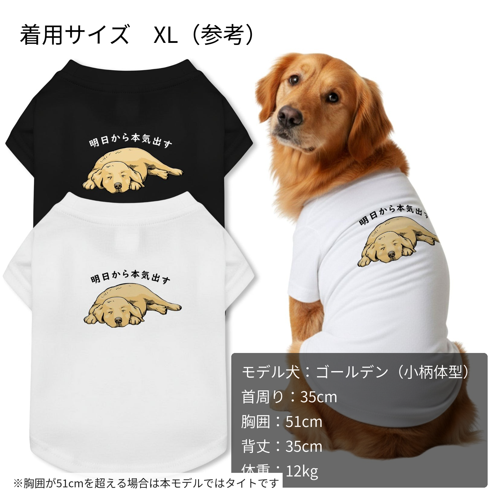 inujoy_golden_modelspec.png?v= inujoy_golden_modelspec.png?v=